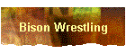 Bison Wrestling