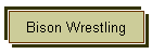 Bison Wrestling